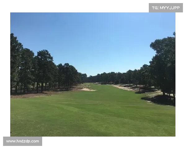 酷暑中Pinehurst业余公开赛圆满落幕 John Mei勇夺桂冠创佳绩 酷暑中Pinehurst业余公开赛圆满落幕 John Mei勇夺桂冠创佳绩